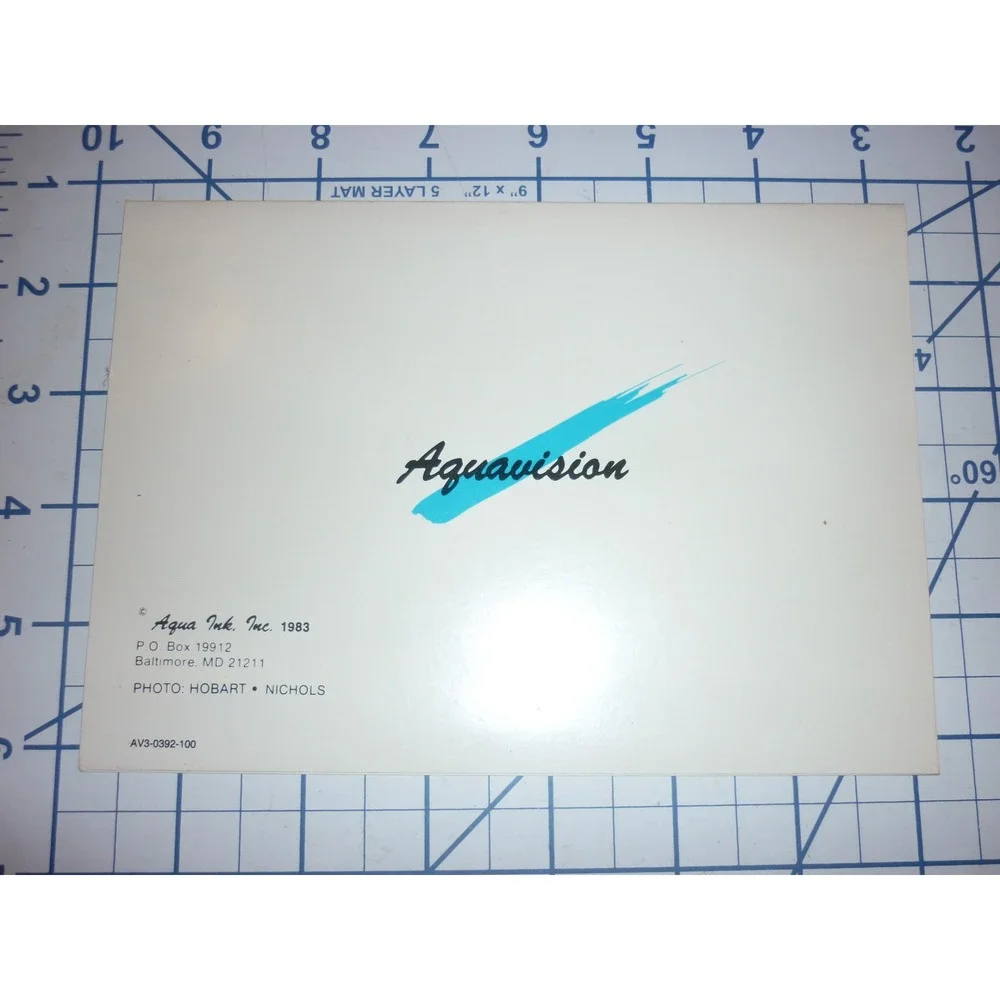 Vintage 1983 Aquavision Drag Queen Birthday Card‎ Hobart Nichols Baltimore MD